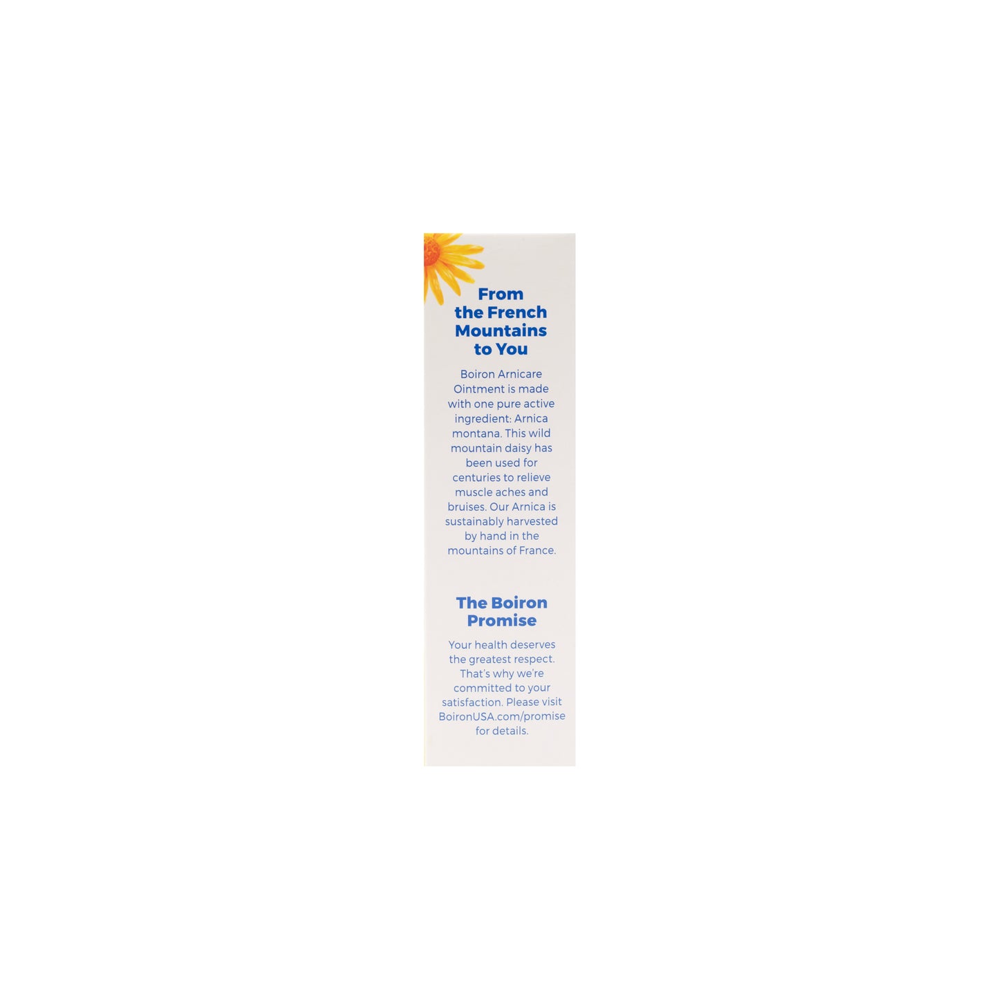 Arnicare Ointment